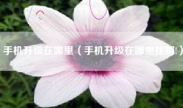 手机升级在哪里（手机升级在哪里找啊!）