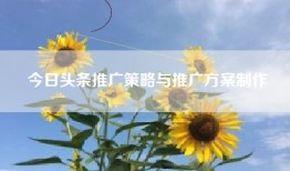 今日头条推广策略与推广方案制作