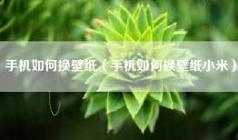 手机如何换壁纸（手机如何换壁纸小米）
