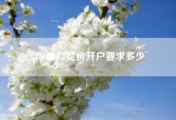 360推广竞价开户要求多少