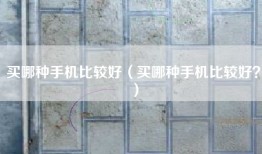 买哪种手机比较好（买哪种手机比较好？）