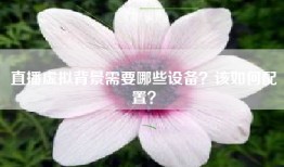 直播虚拟背景需要哪些设备？该如何配置？