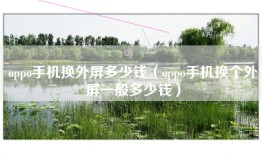oppo手机换外屏多少钱（oppo手机换个外屏一般多少钱）