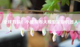 全球首款！小度发布大模型家庭机器人