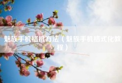 魅族手机格机方法（魅族手机格式化教程）