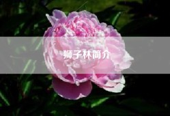狮子林简介