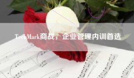 TechMark商战，企业管理内训首选
