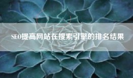 SEO提高网站在搜索引擎的排名结果