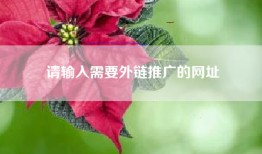 请输入需要外链推广的网址