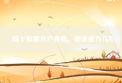 前十股票开户券商，佣金是万几？
