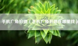 手机广角拍摄（手机广角拍摄在哪里找）