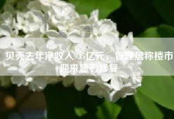 贝壳去年净收入935亿元，管理层称楼市迎来显著修复
