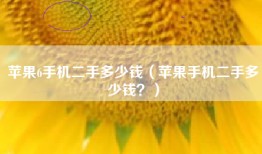 苹果6手机二手多少钱（苹果手机二手多少钱？）
