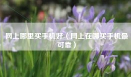 网上哪里买手机好（网上在哪买手机最可靠）