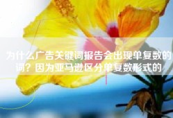 为什么广告关键词报告会出现单复数的词？因为亚马逊区分单复数形式的