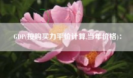 GDP(按购买力平价计算,当年价格)：