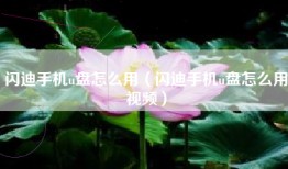 闪迪手机u盘怎么用（闪迪手机u盘怎么用视频）