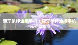 蓝牙鼠标连接手机（蓝牙鼠标连接手机光标设置）