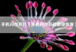 手机闪存芯片（手机闪存芯片数据恢复）