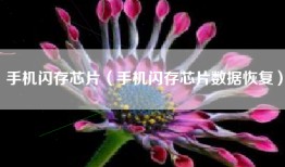 手机闪存芯片（手机闪存芯片数据恢复）