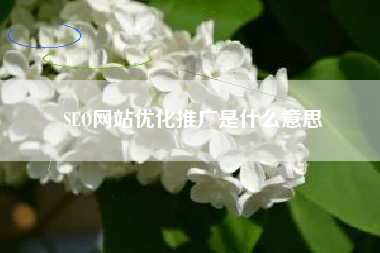 SEO网站优化推广是什么意思 SEO网站优化推广是什么意思