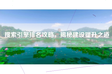 搜索引擎排名攻略，揭秘建设提升之道