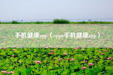 手机健康app（oppo手机健康app）