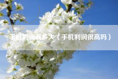 手机利润有多大（手机利润很高吗）
