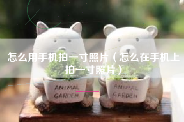 怎么用手机拍一寸照片（怎么在手机上拍一寸照片）