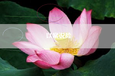 以案说险