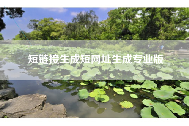 短链接生成短网址生成专业版
